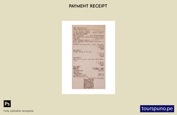 Plantilla de recibo de pago de Biocontrol lista para imprimir